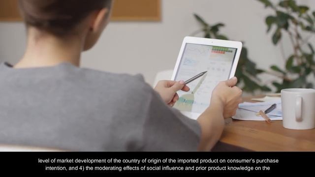 Consumer’s Process of Adopting Imported Products: Main and Moderating Effects смотреть онлайн