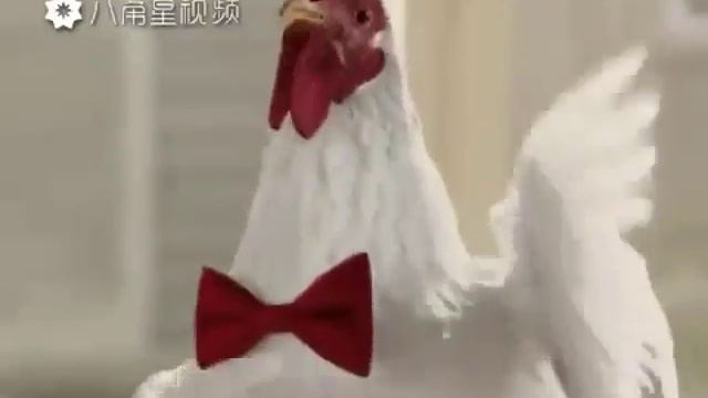 Когда я это увидел я ахренел! смотреть онлайн