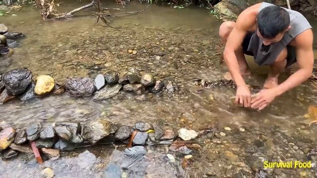 Survival Food: Trap Many Fish From Build Rocks - Get Full Basket Fish смотреть онлайн