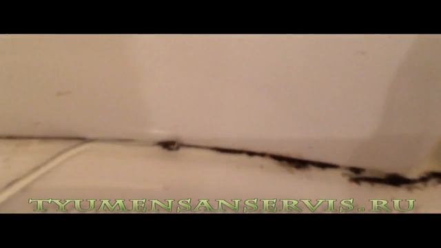 Чистка душевой кабины от грибка смотреть онлайн