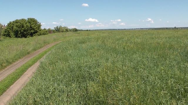 Дон у дач близ Хвощеватки. До Медовки 1 км. смотреть онлайн
