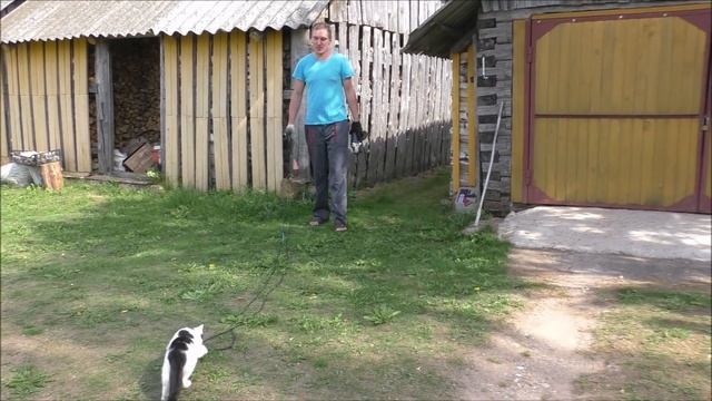 Переезд в деревню. ПРОСТАЯ, УЮТНАЯ ЖИЗНЬ ! смотреть онлайн