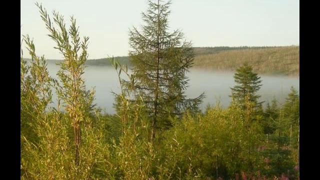 КОЛЫМА, ТЫ МОЯ, КОЛЫМА 2.wmv смотреть онлайн