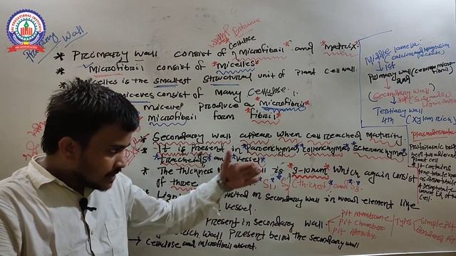 Odisha B.Ed Entrance (Science Stream) 2020 Biology Cell Wall Cls-4 By Chinmaya Sir !! SAI E Study ! смотреть онлайн