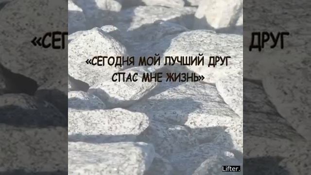 Два друга. Песок и камни