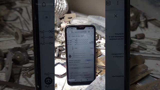 лекция теория деволюции смотреть онлайн