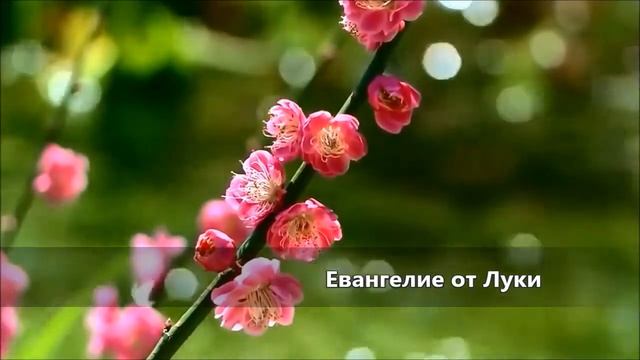 Евангелие от Луки / Глава13 смотреть онлайн