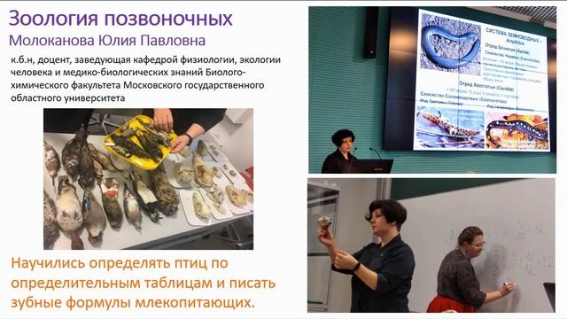 Ресурсы центра «Сириус» в профессиональном развитии учителей биологии смотреть онлайн
