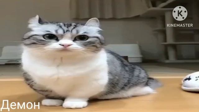 мем бананчики на разных голосах (понизь звук) смотреть онлайн