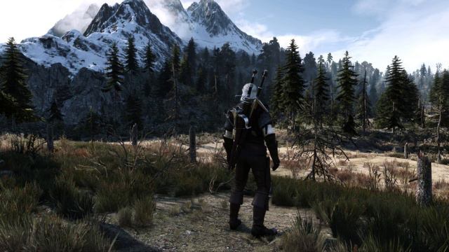 the witcher 3 mod смотреть онлайн