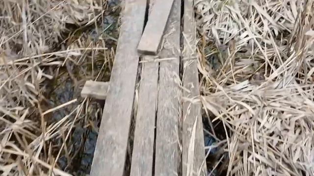 Т 150 і ще де що смотреть онлайн