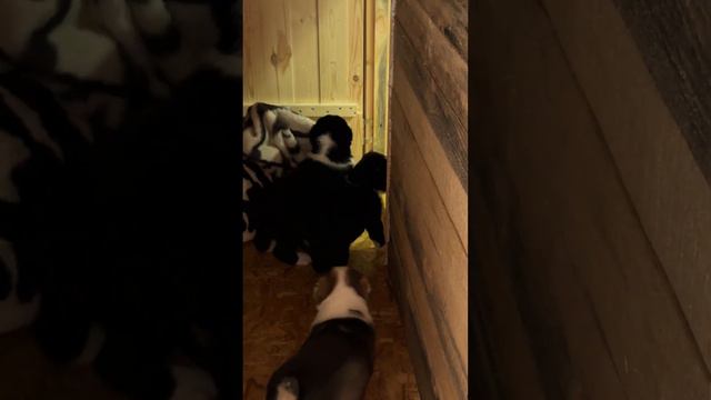 ОПГ ЗАХВАТ И ПЕРЕДЕЛ ВЛАСТИ смотреть онлайн