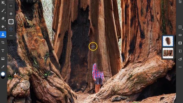 How to use the Clone Stamp tool to hide distractions or remove objects from a photo in Photoshop смотреть онлайн