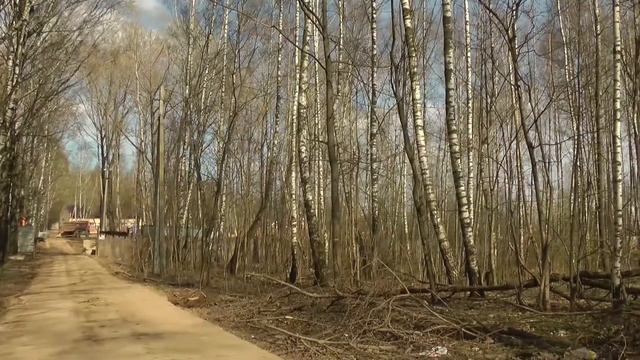 Смоленск строительство зоопарка 30 апреля 2013 смотреть онлайн