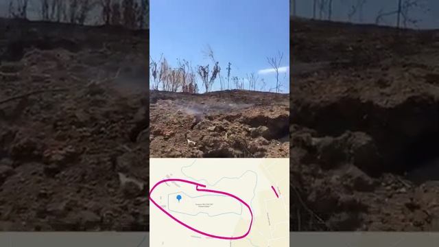 Свалки Ростова - кто будет засыпать свалки? Чалтырь в дыму! Вокруг ПВН Ростова - тоже ВСЁ в дыму! смотреть онлайн
