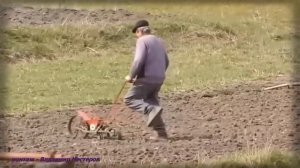 Старый конь борозды не портит