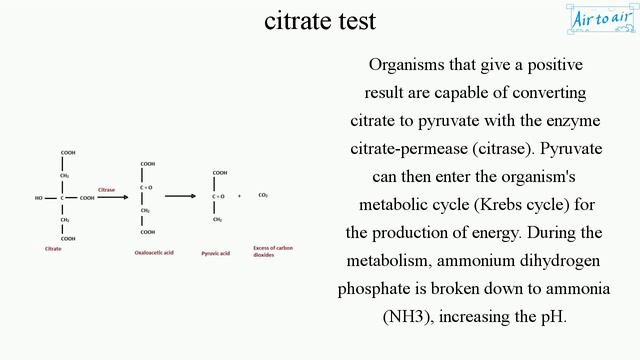 citrate test смотреть онлайн