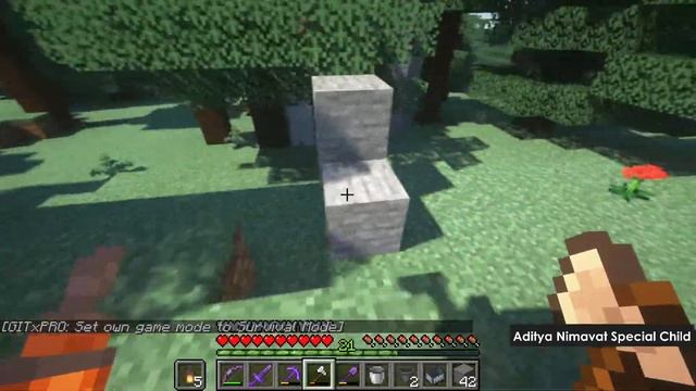 Skeleton XP Farm - Minecraft Tutorial (Java Edition) | Aditya (Special Child) | join & play with US смотреть онлайн