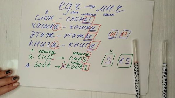 Английский Предметы в ед. и мн. числе 2 класс