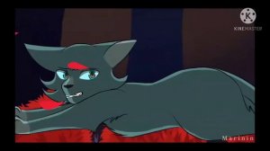 коты - воители/Мошка и Синяя Звезда/видео не мое!/