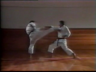 КАРАТЭ ШОТОКАН смотреть онлайн