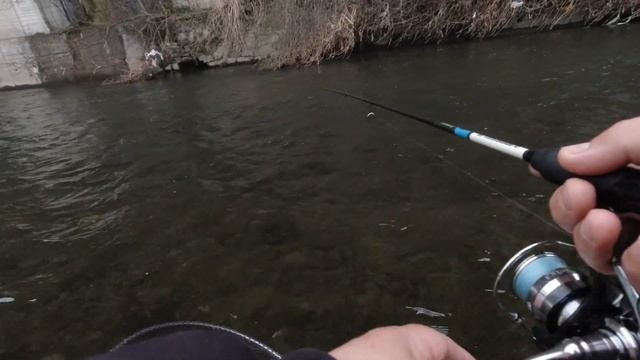 Ловля ручьевой Форели. Открытие сезона 2021 смотреть онлайн