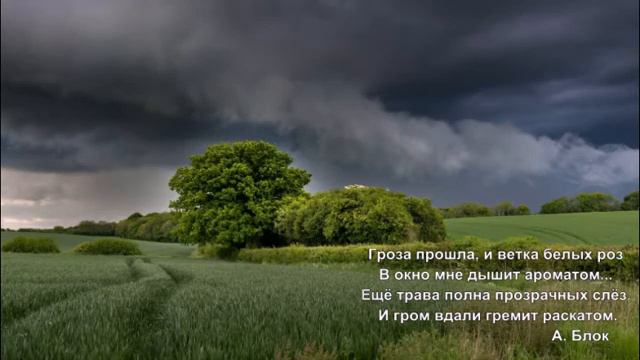 какого цвета лето смотреть онлайн