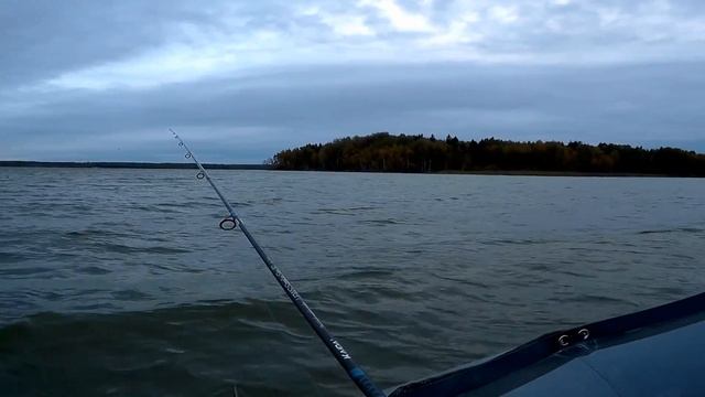 Рыбалка на Яузском водохранилище смотреть онлайн