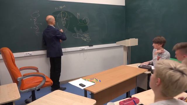 26. Отделы тела разных отрядов типа Моллюски смотреть онлайн