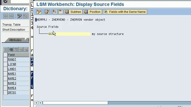 SAP ABAP Advanced Topic - LSMW смотреть онлайн