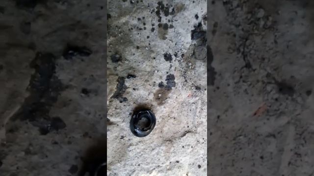 Сальник редуктора мотокультиватора крот смотреть онлайн