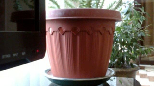 СМЕЛОЕ ОБРАЩЕНИЕ К РАМЗАНУ КАДЫРОВУ С ПРОСЬБОЙ О ЗАЩИТЕ смотреть онлайн