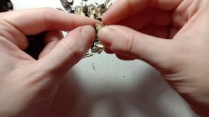 ASMR Sunflower seeds, clean, rustle, triggers / чищу семечки, шуршание, триггеры, семечки подсолнух
