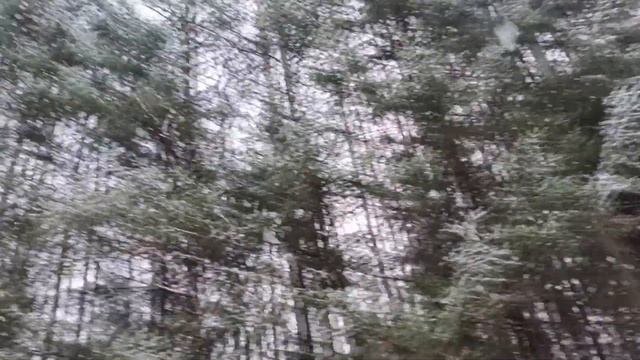 КОП НА ЛЕСНЫХ ДОРОГАХ ! ЛЕС НЕ ОСТАВИЛ БЕЗ МОНЕТ! смотреть онлайн
