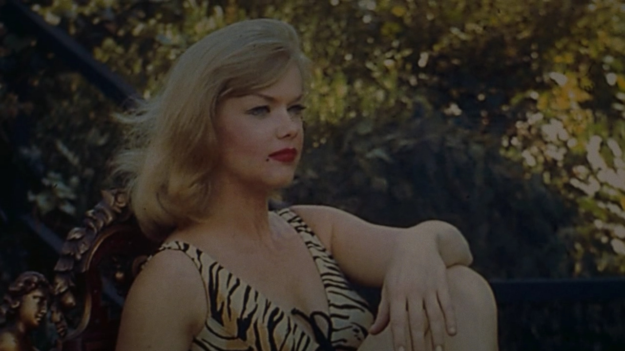 Anne Francis poster (Once Upon a Time in Hollywood, 2019) смотреть онлайн