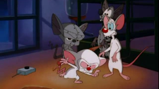 Pinky And The Brain - S4E6 - The Pinky And The Brain Reunion Special