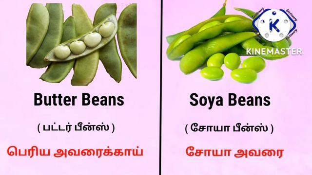 Vegetables Names | Types of Beans | Broad Beans, Butter, Soya, Lima, Cluster Beans, Cow & Green Pea смотреть онлайн