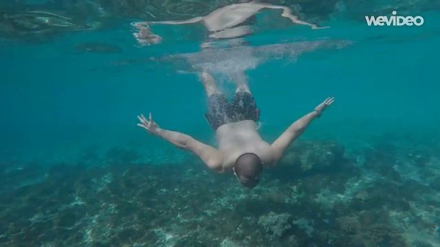 Java-Lombok Overland смотреть онлайн