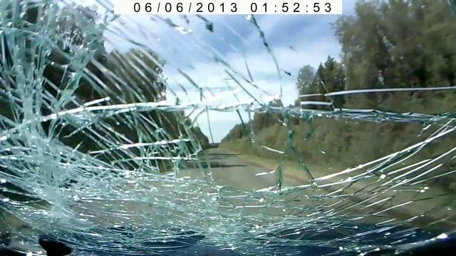 Упало дерево смотреть онлайн
