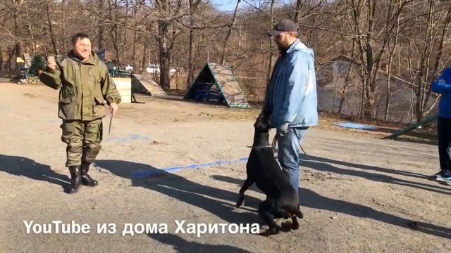 МСКЦ "ФАВОРИТ" - тестирование поведения смотреть онлайн