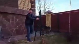 Собачья сила или как снять калитку с петель...