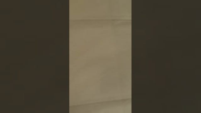 Schießerei München am MC Donald am 22.07.2016 Olympia Einkaufszentrum смотреть онлайн