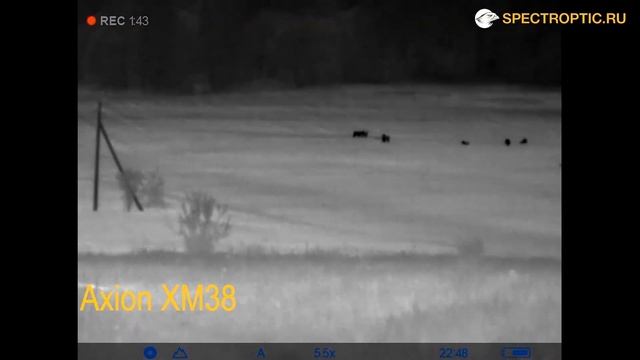 Приборы для ночной охоты: Axion XM30, Axion XM38, Helion XQ50, Accolade LRF XP50. Тест и сравнение смотреть онлайн