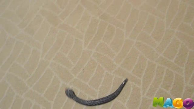 Змея на и/к управлении "Rattle snake" (черная) Модель на радиоуправлении смотреть онлайн