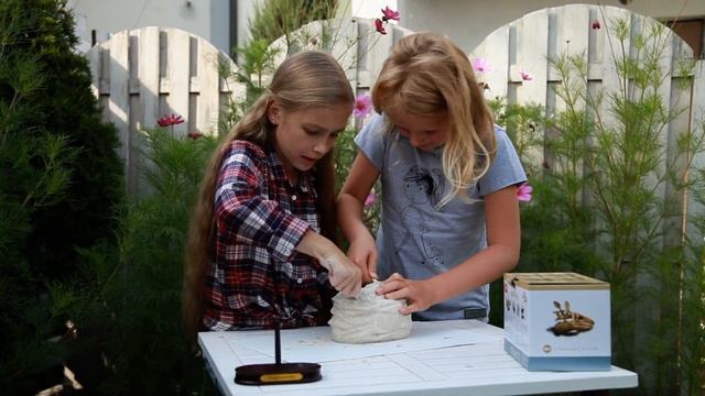 DINOSAUR SKULL - Набор археолога для детей "Череп динозавра" . Развивающий детский набор смотреть онлайн