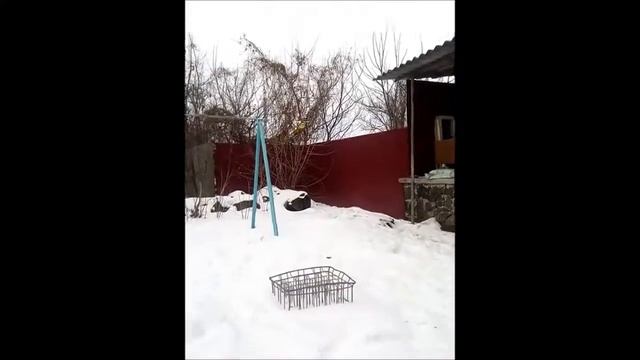 Что подарить ребенку. Игрушка летающий миньон. Недорогой подарок смотреть онлайн