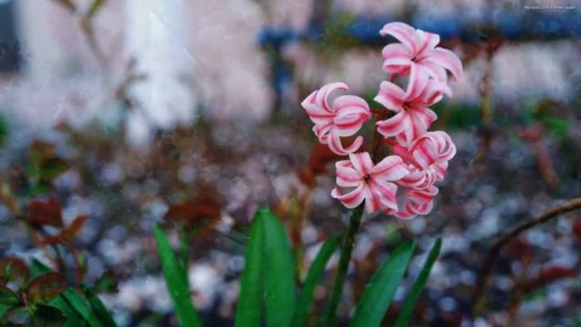 КРАСИВЫЕ МЕЛОДИИ ДО СЛЁЗ!Одна из самых красивых и волшебных песен о любви!Можно слушать бесконечно#
