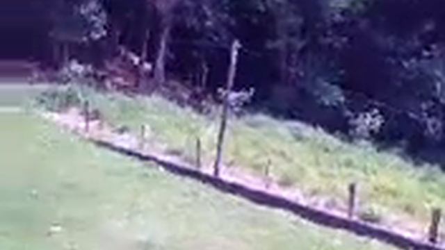 Victor Nogueira Bezerra смотреть онлайн