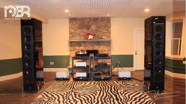 BEST VOICE AUDIOPHILE - AUDIOPHILE CHOICE COLLECTION - AUDIOPHILE NBR MUSIC