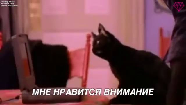 Лучшие шутки кота Салема из «Сабрины - маленькой ведьмы» смотреть онлайн